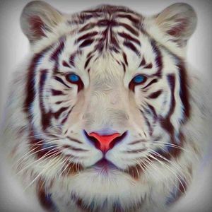 Meet your Posher, Paula